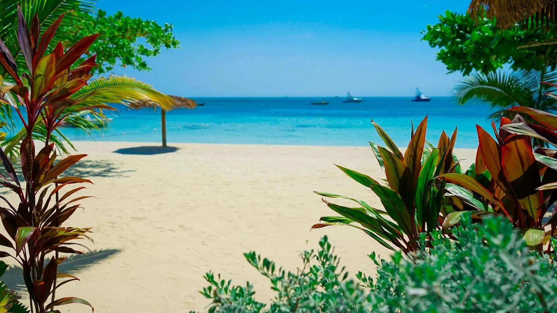 Ayurveda Resort Negril