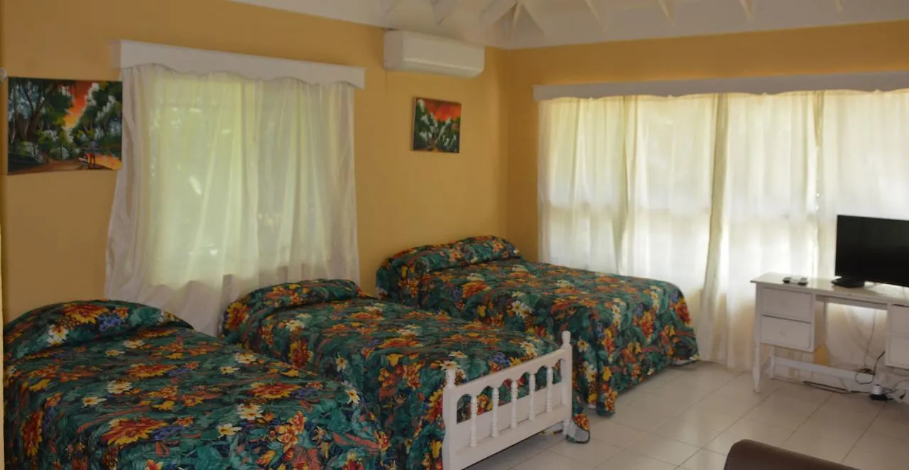 **  Ayurveda Resort Negril Jamaica