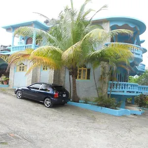 Hotel Cotton Tree