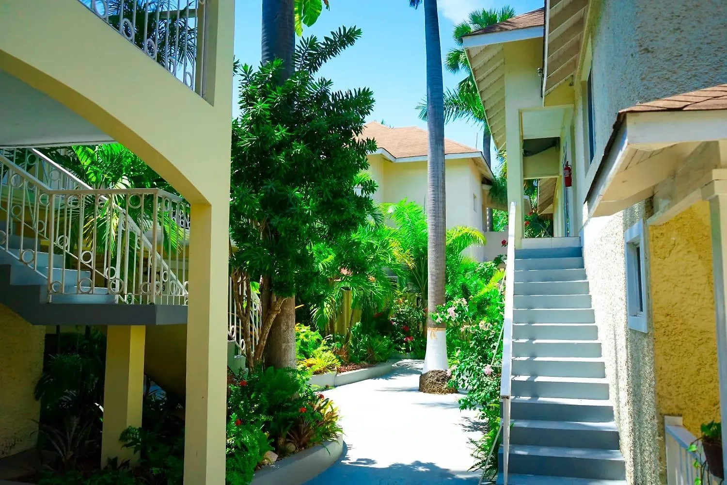 Ayurveda Resort Negril